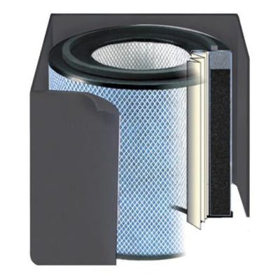 Austin Air Bedroom Air Purifier Filter (FR402)